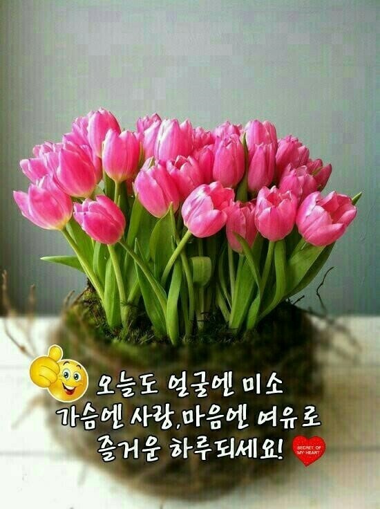 5320feadfd4dfcf91aa0be8ca97945b8_1757831721_4868.jpg 5320feadfd4dfcf91aa0be8ca97945b8_1757831721_4868.jpg