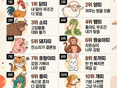 같이 살면 혈압 오르는 진짜 고집불통 띠 TOP12