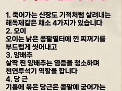 죽어가는 콩팥도 살리는 기적의 채소 4가지